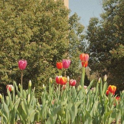 银河国际官网app下载下载手机版