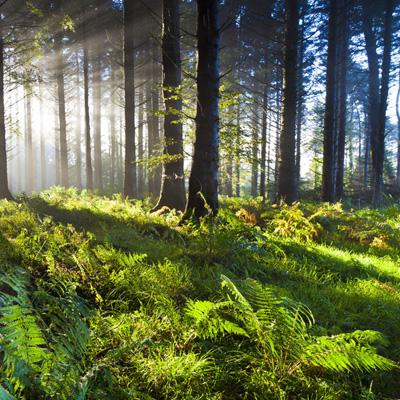 双赢彩票官方网站下载手机版截图