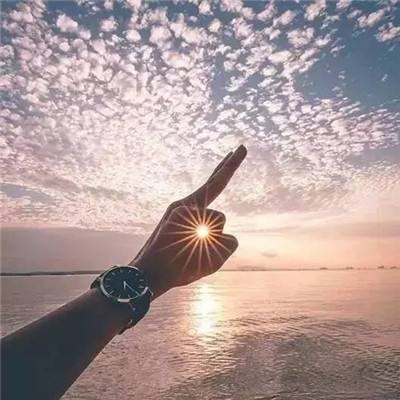 双赢彩票官方网站下载手机版