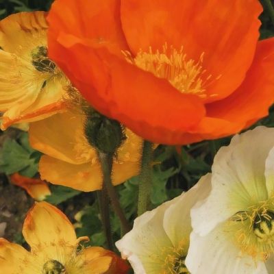 双赢彩票官方网站下载手机版截图