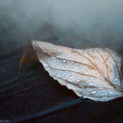 爱游戏全站APP下载app下载